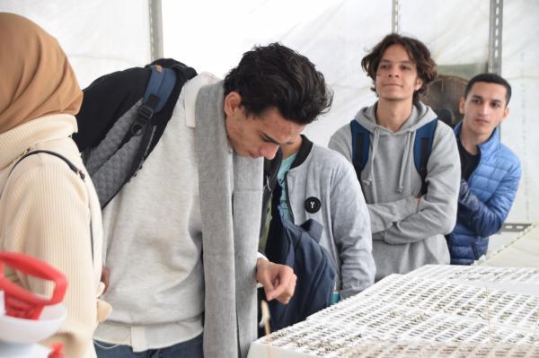 برنامج التدريبات الميدانية لجامعة حلوان الفرقة الأولى 2