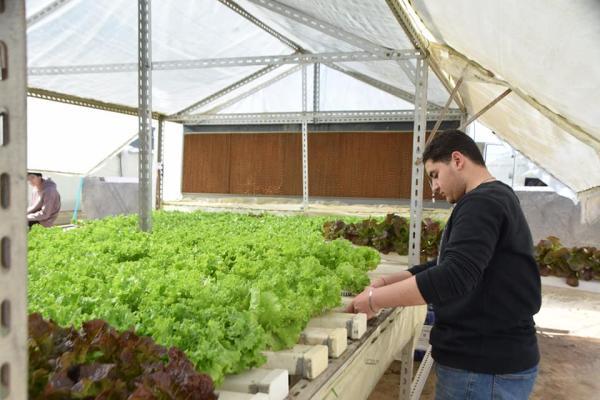 مشاركات المتطوعين