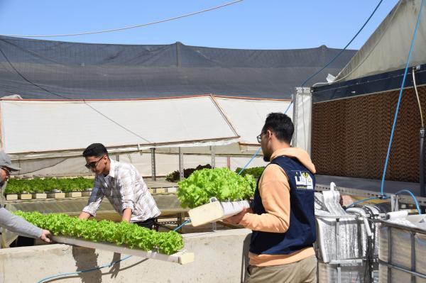 مشاركات المتطوعين