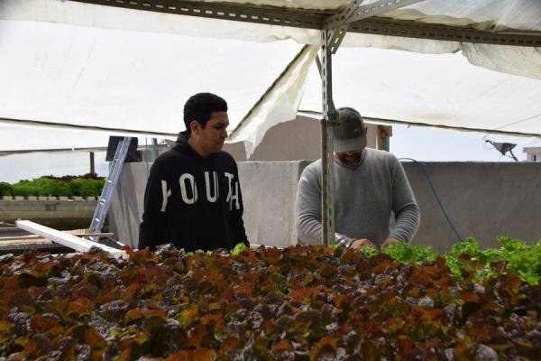 مشاركات المتطوعين