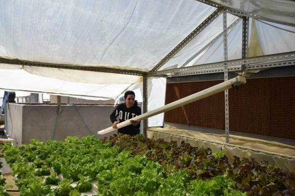 مشاركات المتطوعين