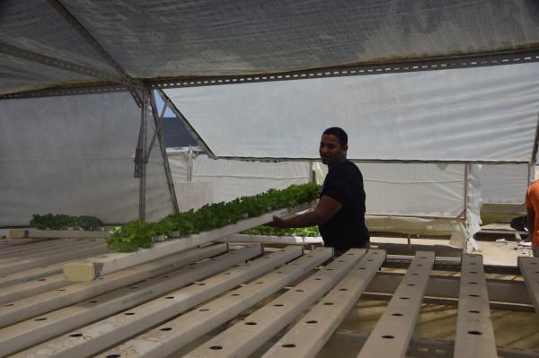 مشاركات المتطوعين