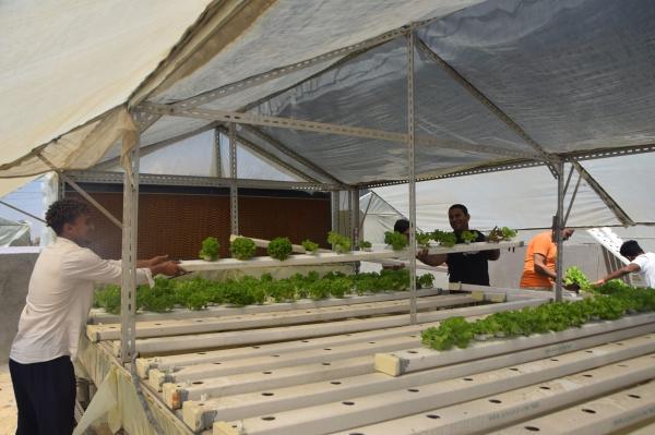 مشاركات المتطوعين