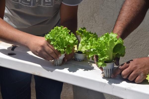 مشاركات المتطوعين