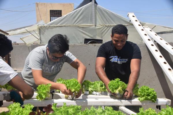 مشاركات المتطوعين