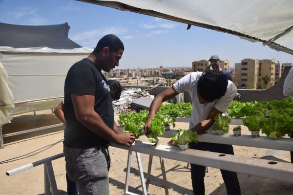 مشاركات المتطوعين