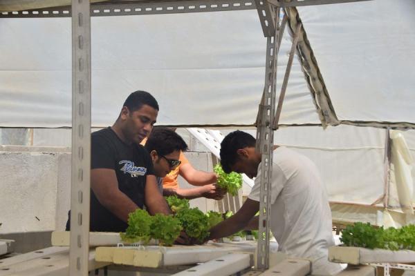 مشاركات المتطوعين