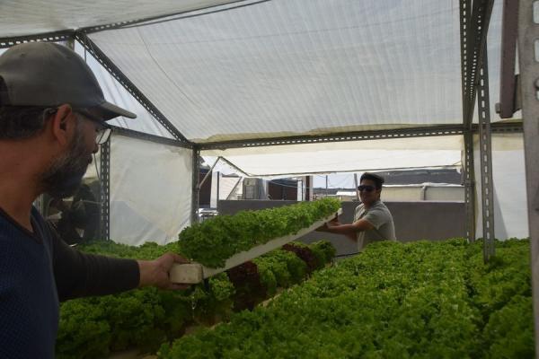 مشاركات المتطوعين